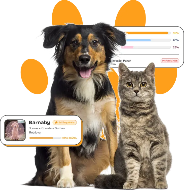 PetVida App - Interface mostrando perfil do pet Barnaby, estatísticas de saúde e treino